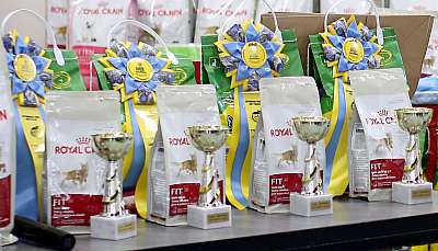   11-12  2015 WCF- 11-169A5208 copy.jpg
